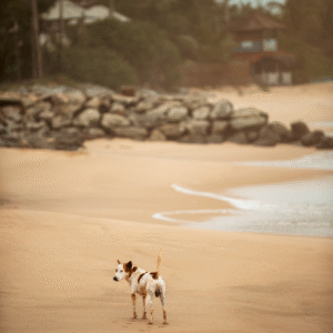 Beach Bliss Print