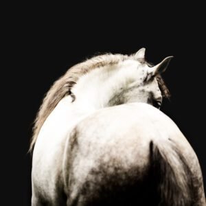 Luminous Elegance Print