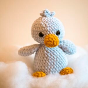 Craft - Duck