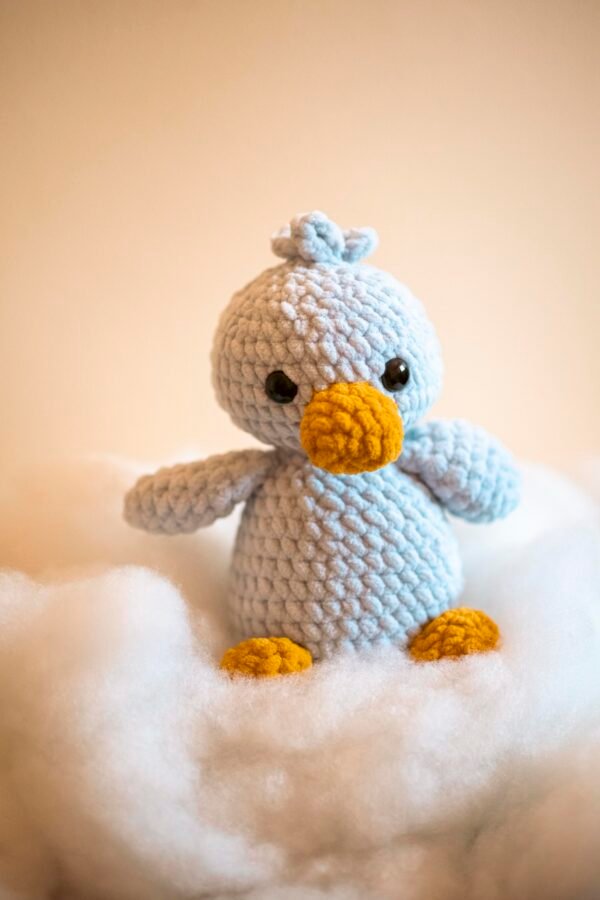 Craft - Duck