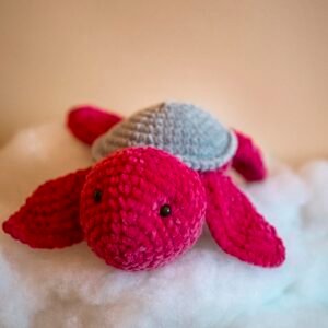 Craft - Turtle