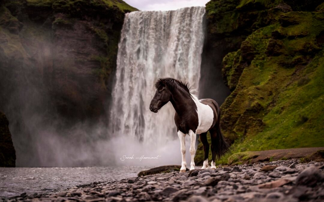 Between Glaciers and Volcanoes: My Iceland Adventure