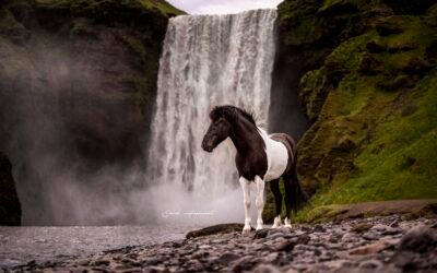 Between Glaciers and Volcanoes: My Iceland Adventure