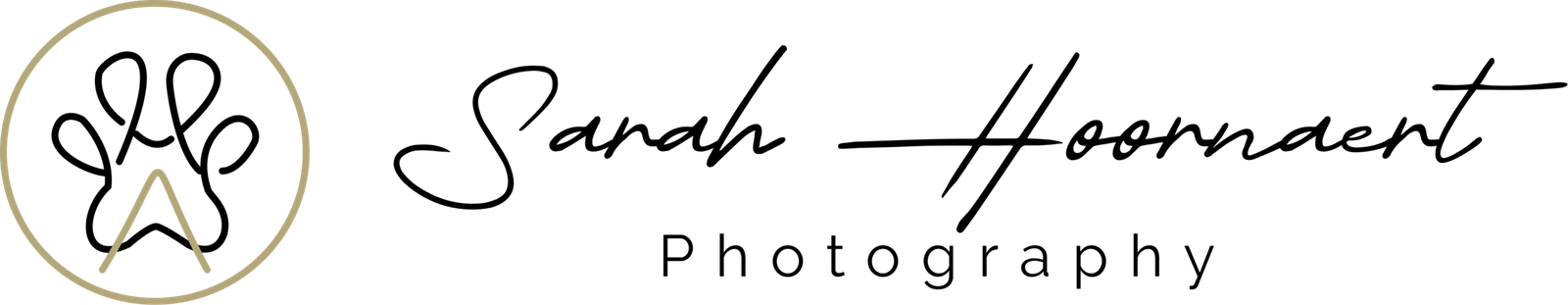 Icon plus logo