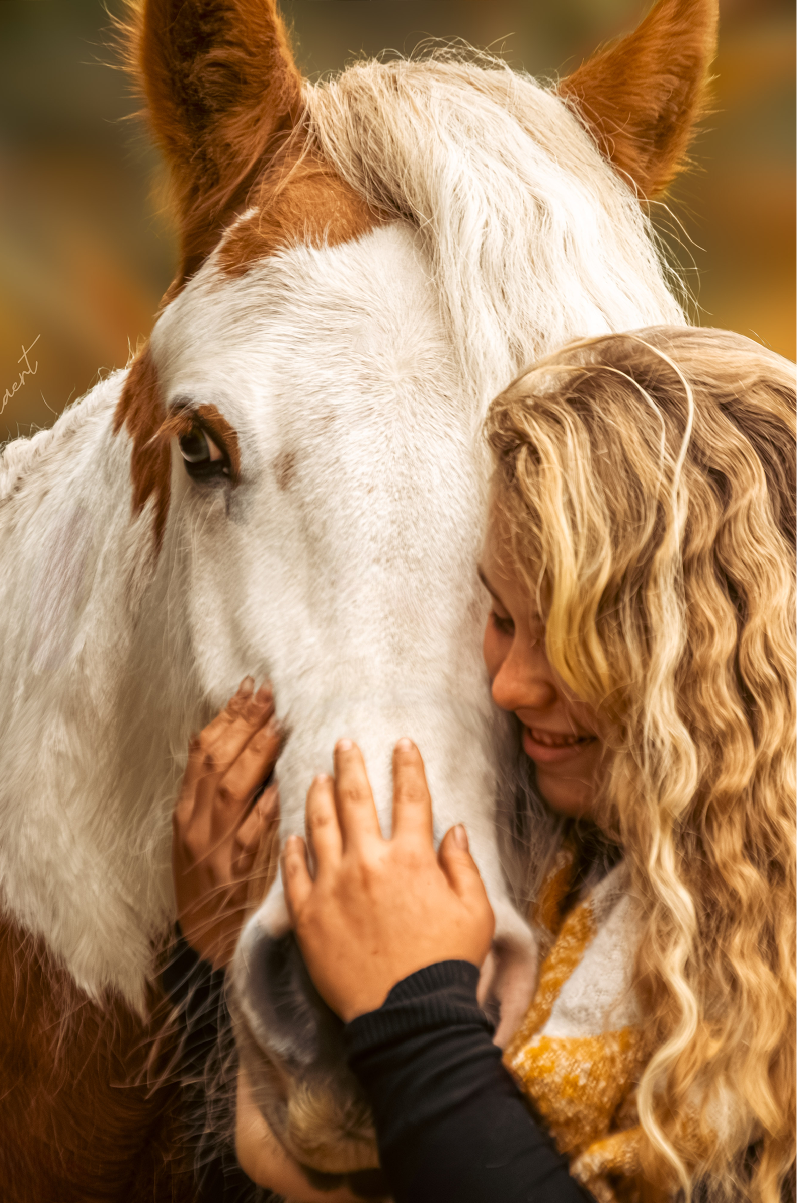 SHPhotography-3523 2