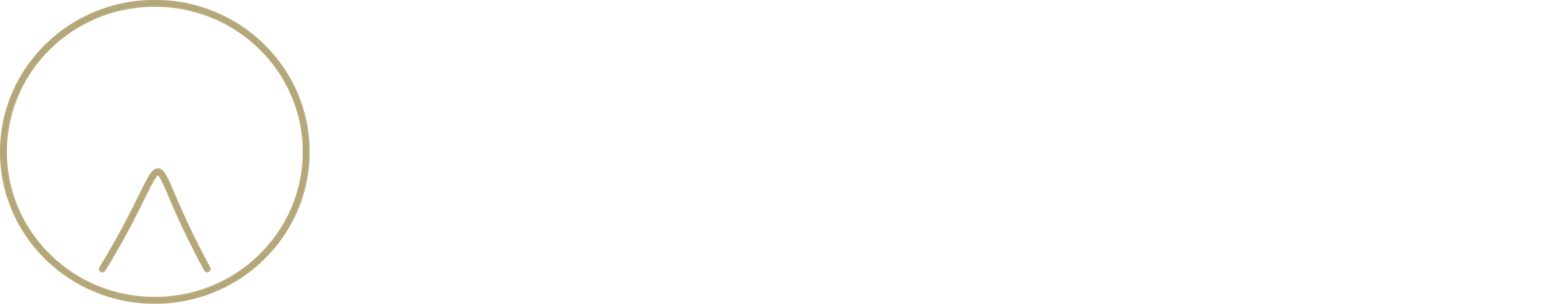 logowhite Icon plus logo